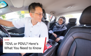 tdvl vs pdvl article 2